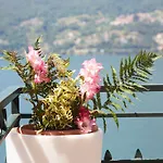 Casa Romantica -terrace 40sqm, Wonderful View Διαμέρισμα Ντέρβιο