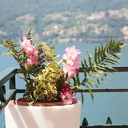Casa Romantica -terrace 40sqm, Wonderful View Apartmán Dervio