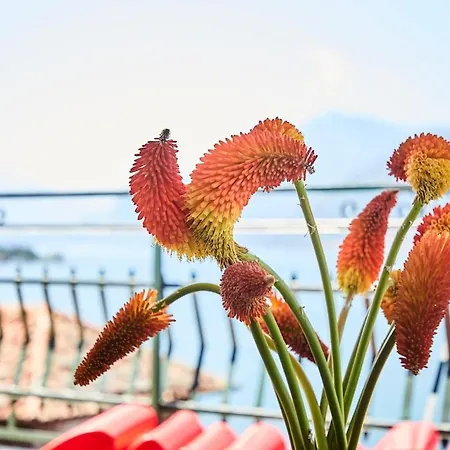 Casa Romantica -terrace 40sqm, Wonderful View 德尔维奥